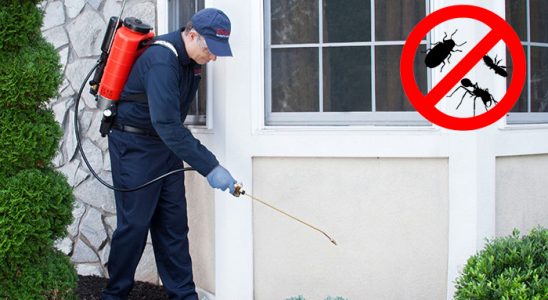 Köşk Akrep İlaçlama böcek ilaçlama ve haşere kontrolü — ilaclama-tr.com